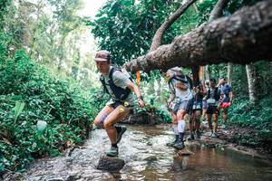 BIB: 
                            <button type="button" onclick="openModal(25371902)" class="btn btn-primary btn-sm float-right btn-popup" data-toggle="modal" data-target=".modal-high-quality">
                        <i class="fas fa-shopping-cart"></i> Add to Cart
                    </button>
                                            <button type="button" onclick="isThisMe(25371902, true)" class="btn btn-success btn-sm float-right btn-popup btn-isme hidden" data-toggle="tooltip" data-placement="bottom" title="นี่คือรูปของคุณใช่ไหม คลิกที่นี่เพื่อเอาเข้าอัลบั้ม">
                        <i class="fas fa-plus"></i> Add to album
                    </button>
                    <button type="button" onclick="isThisMe(25371902, false)" class="btn btn-warning btn-sm float-right btn-popup btn-isnotme hidden">
                        <i class="fas fa-ban"></i> Remove from album
                    </button>